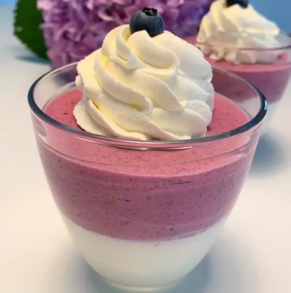 Panna cotta alla vaniglia e mousse ai mirtilli